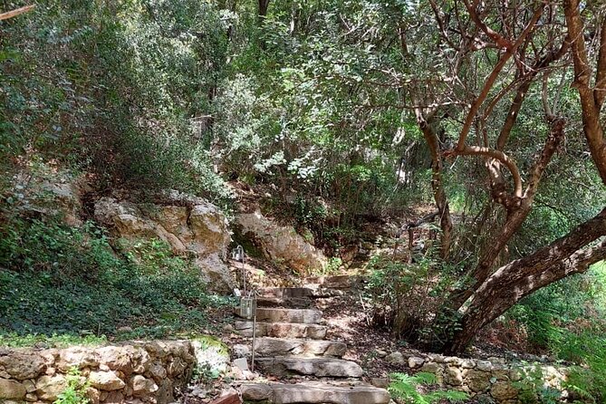 Half-Day Private Walking Tour Along the Orthodox Gorge - Customer Feedback