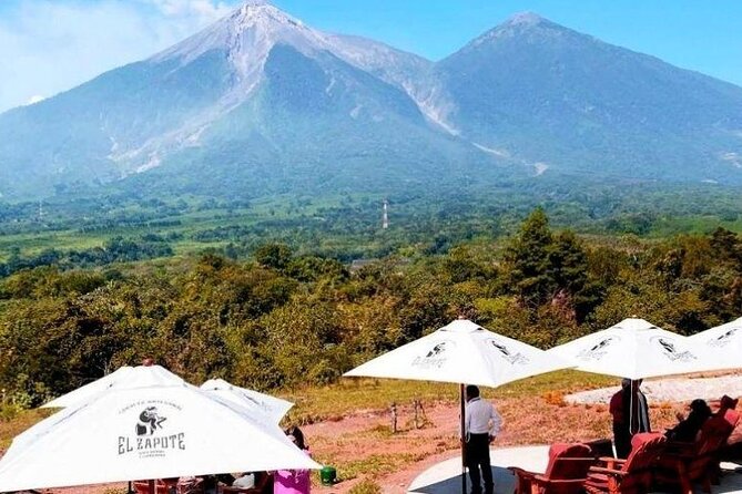 Half Day San Cayetano Farm and Coffee Tour From Puerto Quetzal - Nearby Volcanoes and Scenery