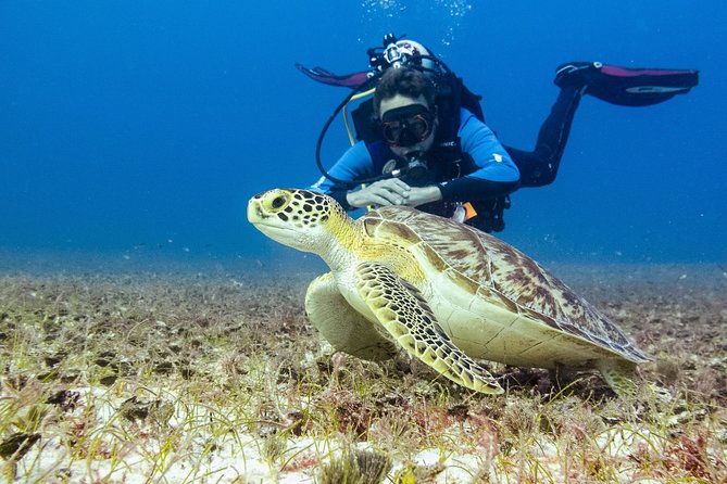 Half-Day Scuba Diving in Playa Del Carmen for Small-Group - Safety and Professionalism of Guides