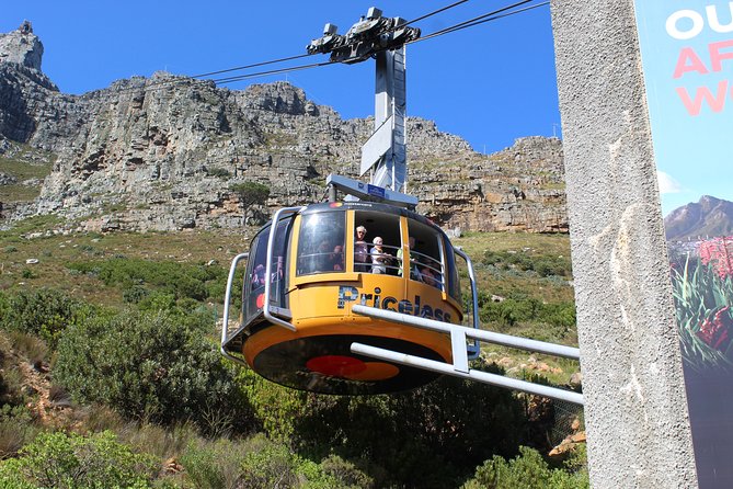 Half-Day Tour of Cape Town City - Tailored Experiences by Guides