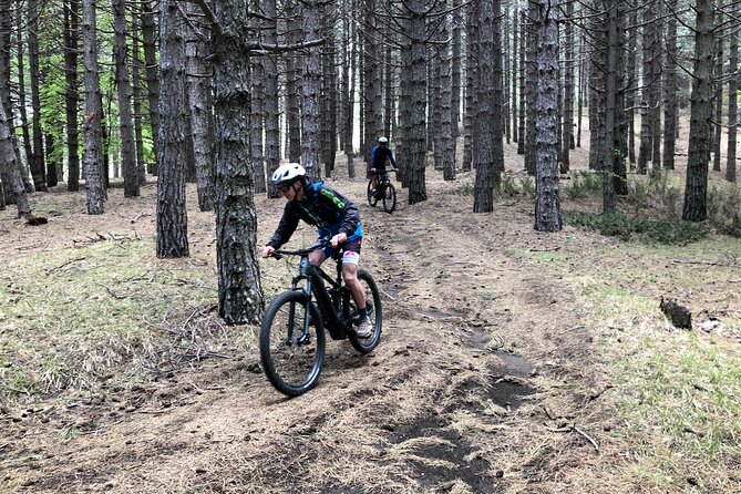 Half Day Tour to Discover Etna by E-Mtb - What to Expect