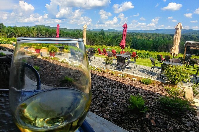 Half-Day Wine Tastings in the North Georgia Mountains - Visiting Ott Farms and Vineyard