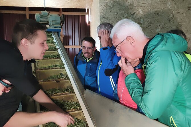 Hallertau Experience With Hop Harvest, Lunch and Hop Museum - Frequently Asked Questions