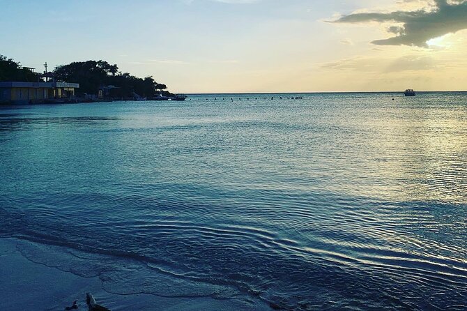 Healing Retreat, Beach and Bio Bay Tour in Puerto Rico - Crowd-Free Beach Visit