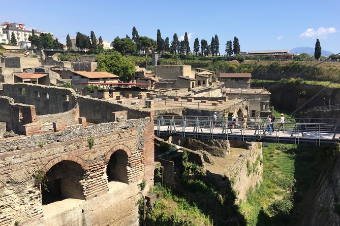 Herculaneum Private Walking Guided Tour 2 Hours - Highlights of the Tour