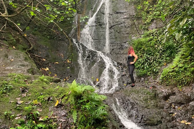Hidden Hawaii Tours - Customer Reviews and Feedback