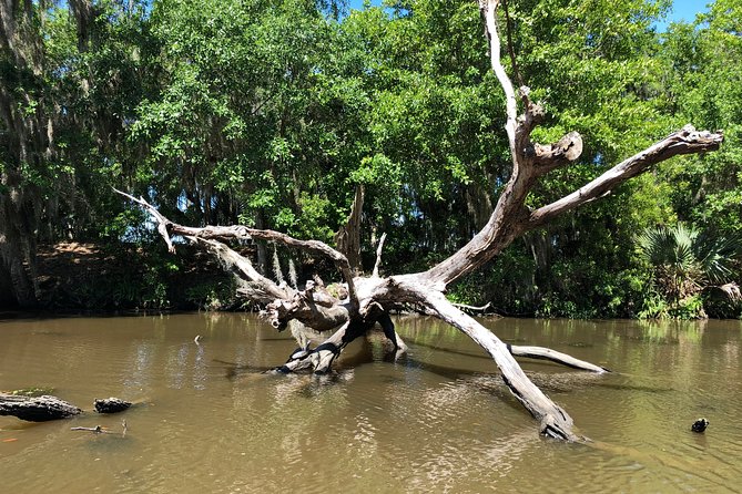 Highlights of New Orleans City and Swamp Tour Combination - Logistics and Inclusions