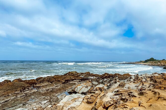 Highway 1 Pacific Coast Highway Self-Guided Driving Tour Bundle - User Reviews and Feedback