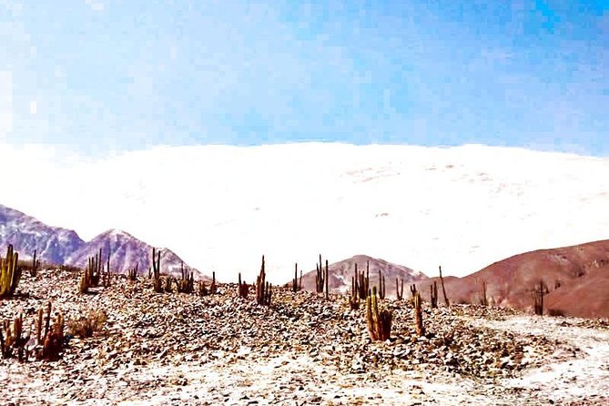 Hike and Adventure in the Highest Dune in the World (Private) - Frequently Asked Questions