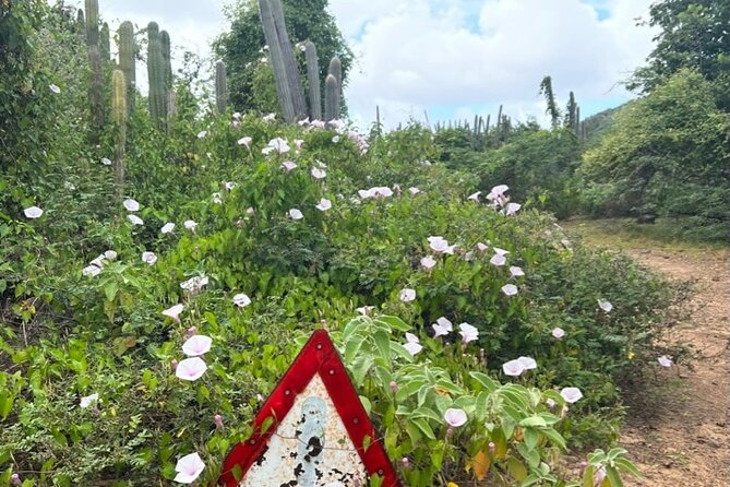 Hike Goto Flamingo Meer Trail & Explore North Bonaire - Explore North Bonaire