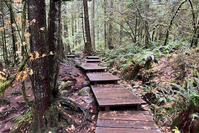 Hike Lynn Canyon and Bike Seymour Demonstration Forest - Exploring Lynn Canyon