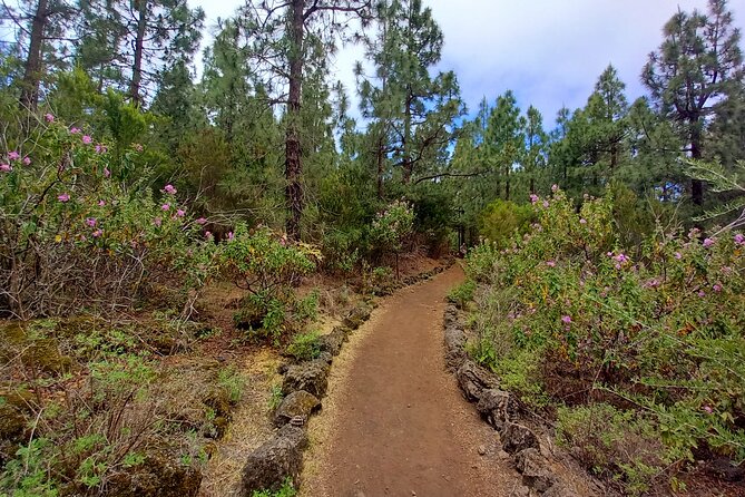 Hiking Classic Tenerife - Accessibility Information