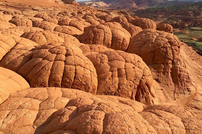 Hiking in Kanab: Walk and Photograph the Incredible Wire Pass Slot Canyon! - Booking and Cancellation Information