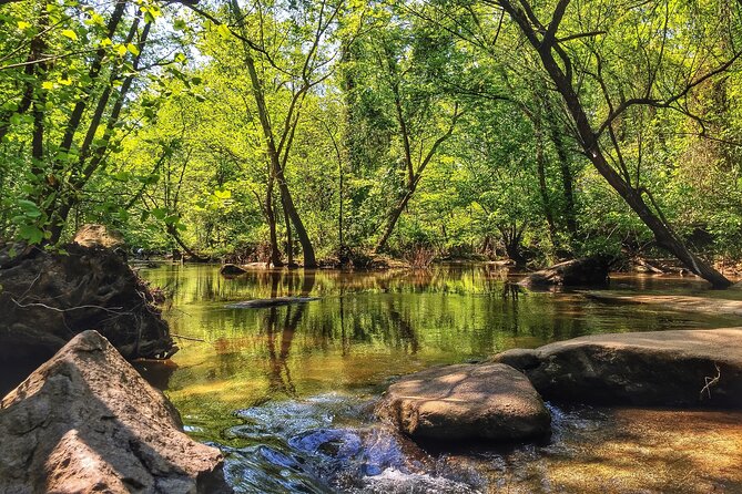 Hiking the James River in Richmond, VA - Seasonal Hiking Recommendations