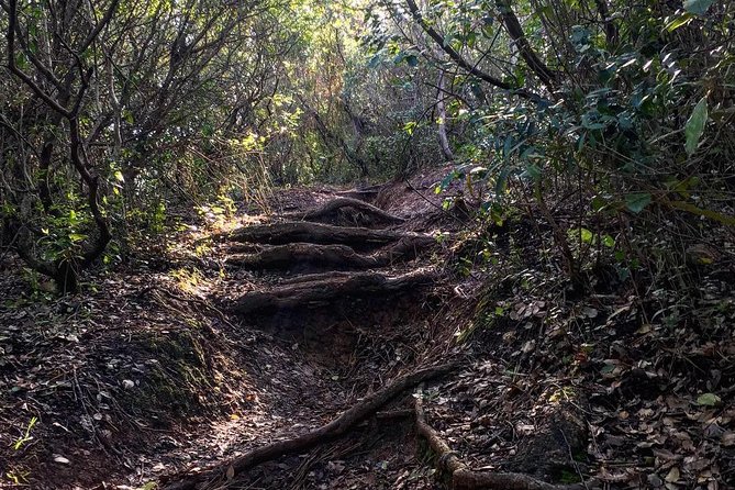 Hiking Tour to the Highest Point of Arrábida Mountain - Product Details and Reference Code