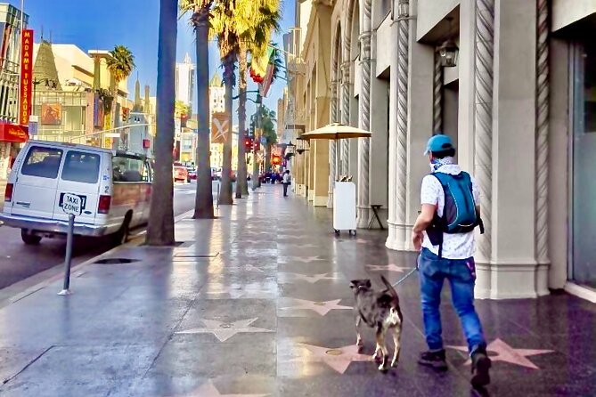 Hollywood Walk of Fame Walking Tour - The Sum Up