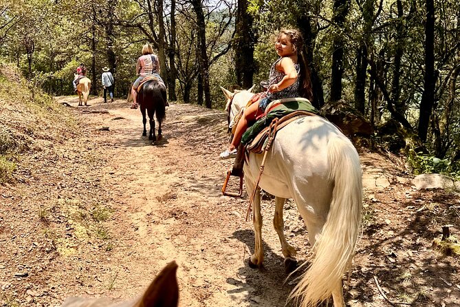 Horse Experience With My Family - Reserving Your Spot