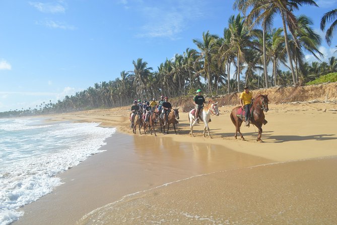 Horse Riding (1 Hour) - Punta Cana Highlights