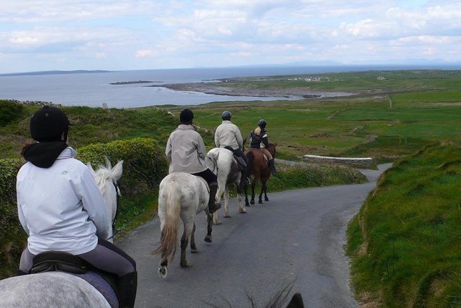 Horse Riding - Burren Trail. Lisdoonvarna, Co Clare. Guided. 3 Hours. - Since You Asked