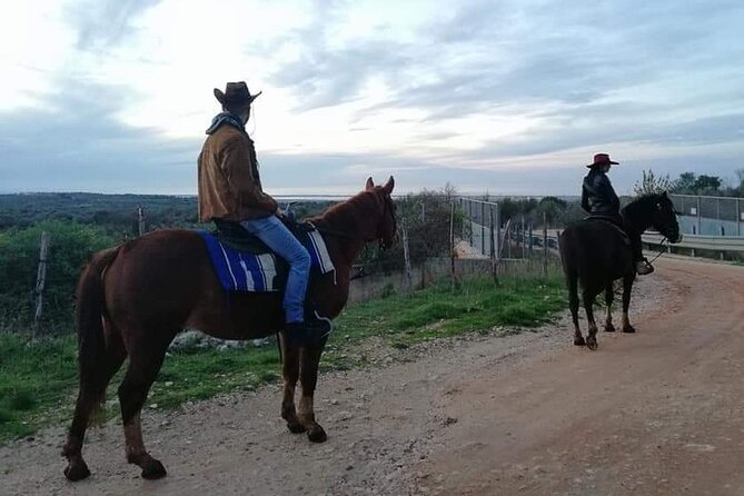 Horse Riding in the Gargano National Park - Capturing Memorable Moments