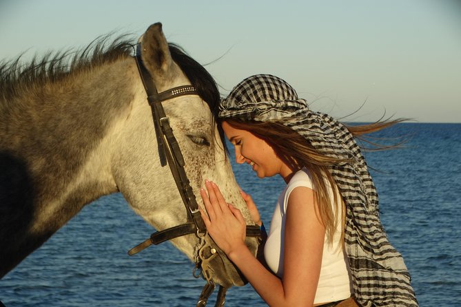 Horse Riding Tour on The Red Sea And Desert & Transfer-Hurghada - Included and Additional Services