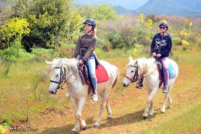 Horse Safari From Kusadasi - Experience and Reviews