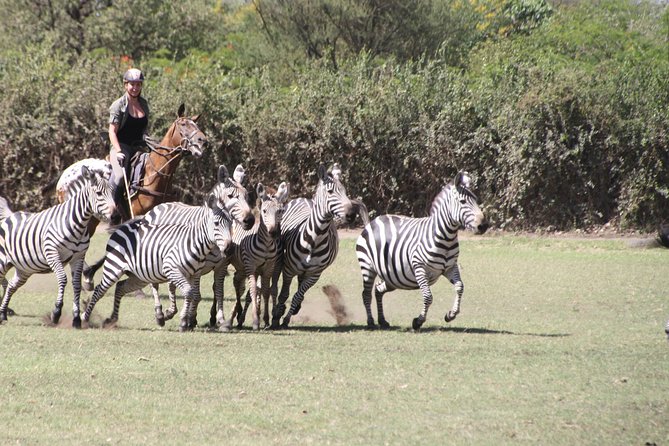Horse Safaris in Tanzania - Hosts Response
