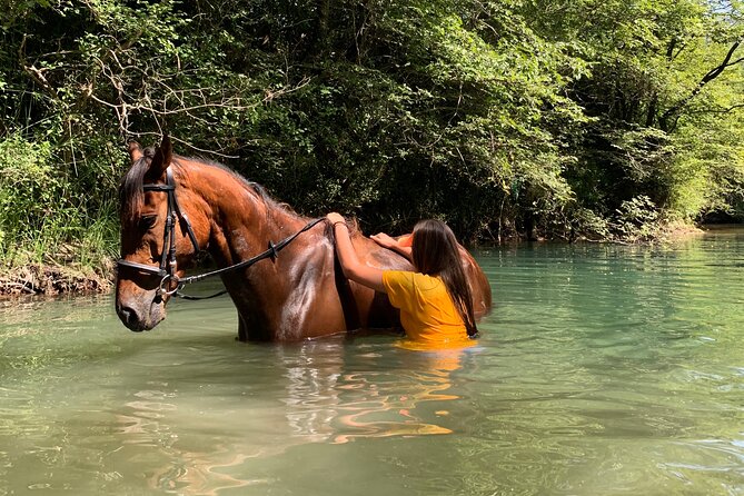 Horseback Riding Across River Ljuta With Transport - What to Expect