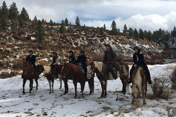 Horseback Riding Adventure From Reno - About the Guides