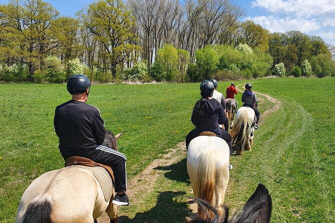 Horseback Riding Adventure Tour Through Brasov Landscape - Pricing and Booking Information