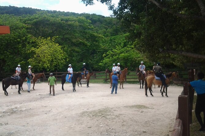Horseback Riding Dunns River Falls Adventure From Montego Bay - Dunns River Falls Climb