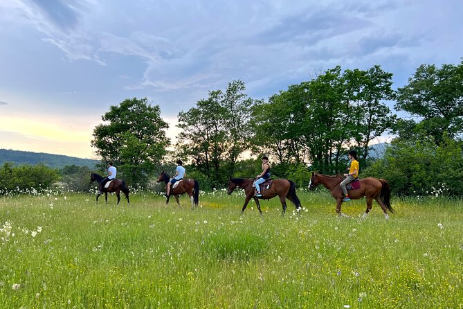 Horseback Riding Experience With Transport From Dubrovnik - Personalized Attention Guaranteed