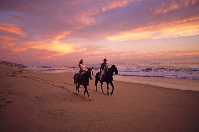 Horseback Riding on The Beach and Through The Desert! - Safety and Accessibility