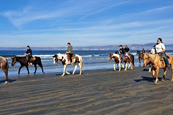 Horseback Riding on the Beach From Ensenada - Tour Highlights and Recommendations