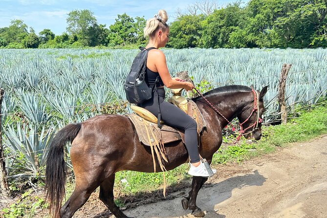 Horseback Riding: Tequila Tasting, Mex BBQ & Margaritas - Responses From Hosts