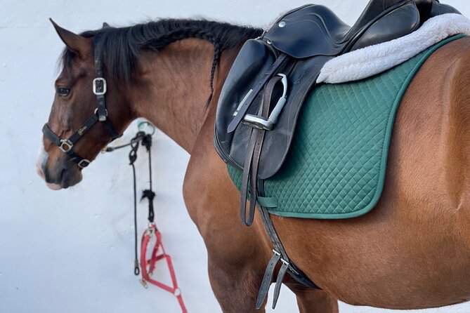Horseback Riding With Certified Guide Review - Since You Asked