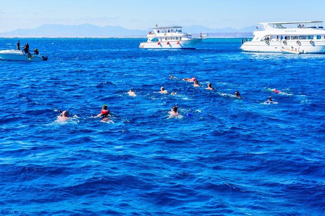 Hurghada Snorkelling - Customer Reviews