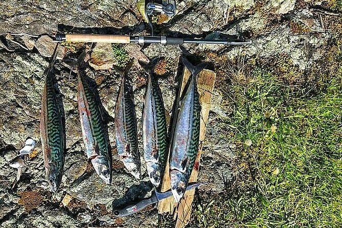 Inshore Fishing in the Drangefjord - Cancellation and Refund Policy