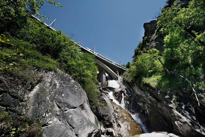Interlaken and the Green Train of Swiss Alps Day Trip From Milan - Accessibility Considerations