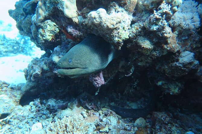 Intro Scuba Diving - Unforgettable Experience