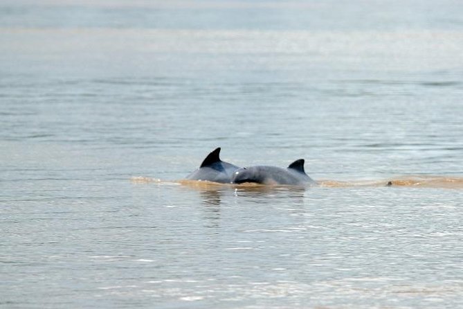 Iquitos: Amazon Adventure: Nature and Wildlife | 3 Days - Sustainability and Conservation Efforts
