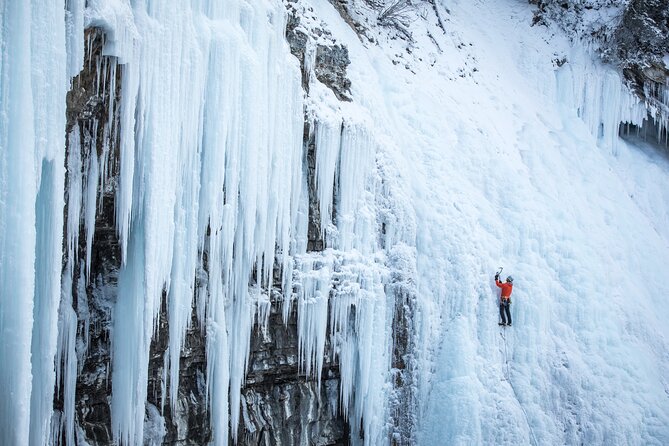 Johnston Canyon Frozen Waterfalls & Banff Backroads Wildlife Tour - Knowledgeable Tour Guides