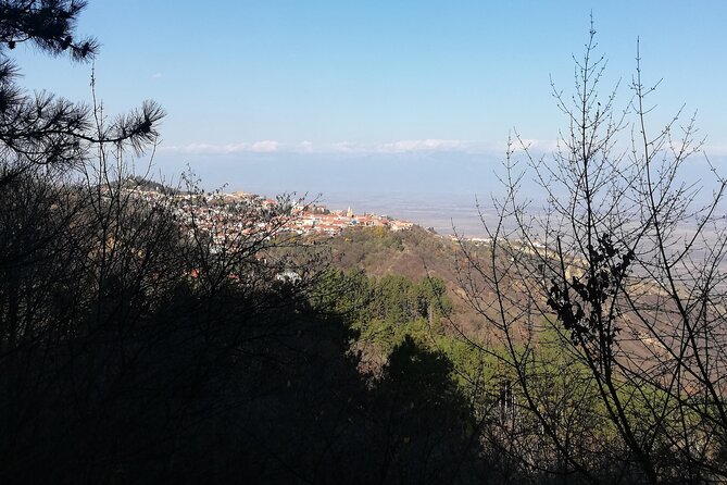 Kakheti Full Day Private Tour - Booking and Cancellation
