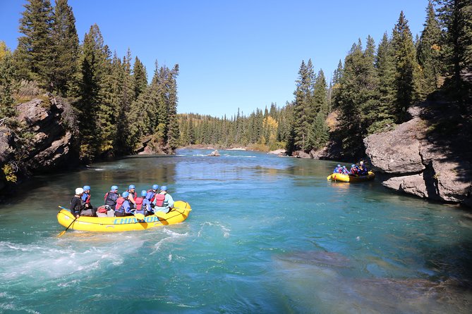Kananaskis River Rafting Adventure - Customer Experiences and Feedback