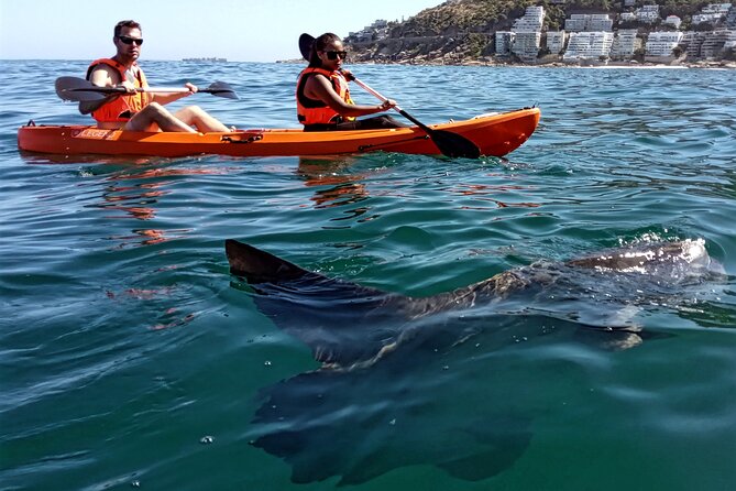 Kayak Adventure at Clifton Beach - Tips for a Great Kayak Adventure