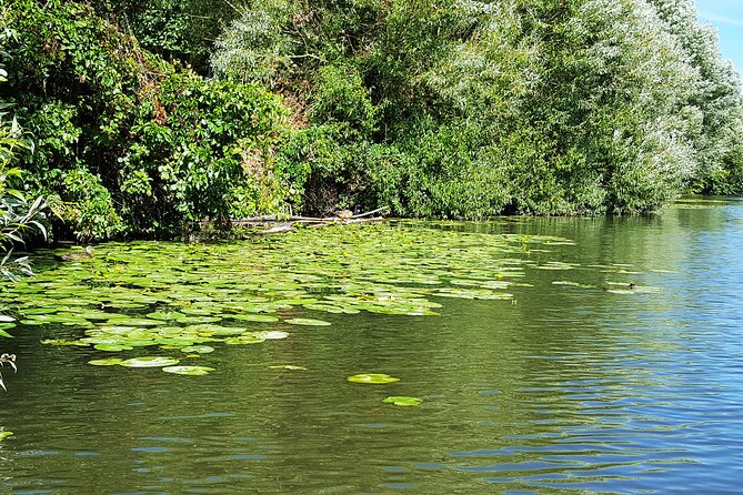 Kayak or SUP Tour on the Water Through Saarbrücken - Tour Highlights and Details