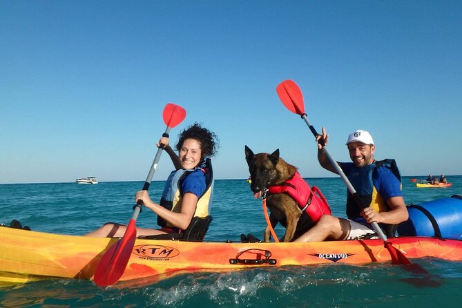Kayaking With Dogs - Booking and Cancellation Policy