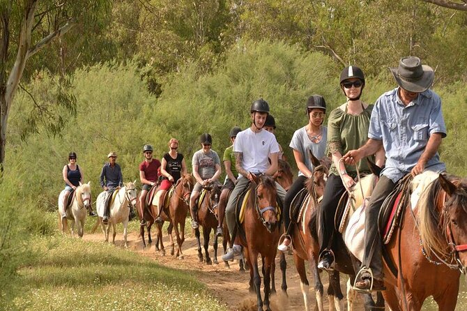 Kemer Horse Safari Experience With Free Hotel Transfer - Getting the Most Out of Your Adventure