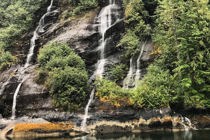 Ketchikan Whale Watching and Nature Tour - Booking Information