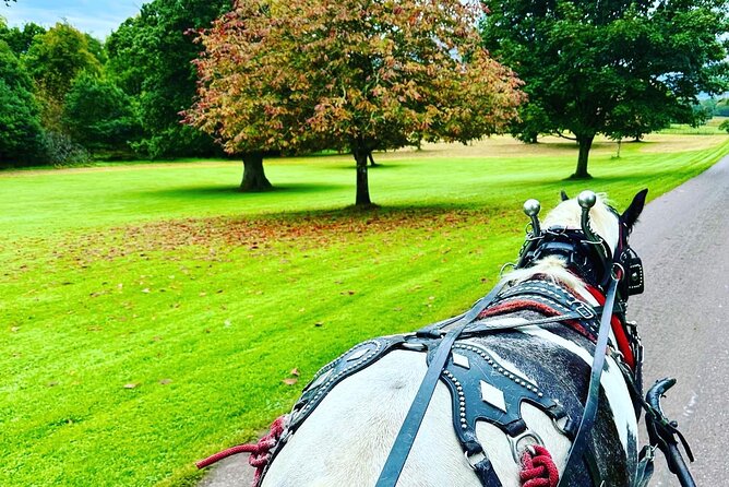 Killarney Jaunting Car Tour - Scenic Routes and Wildlife